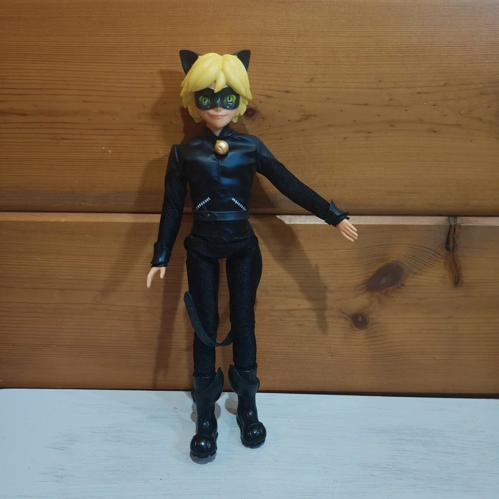 Miraculous Ladybug Cat Noir 11